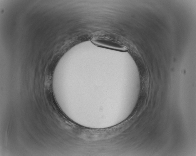 X0000085010033200703261206