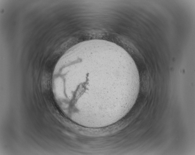 X0000085010034200703261206