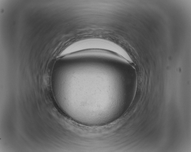 X0000085010035200703261206