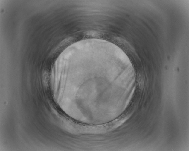 X0000085010036200703261206