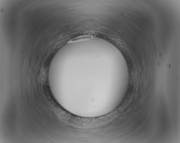 X0000085010037200703261206