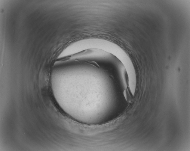 X0000085010039200703261206