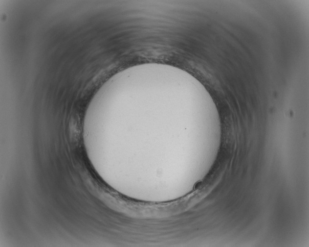 X0000085010040200703261206