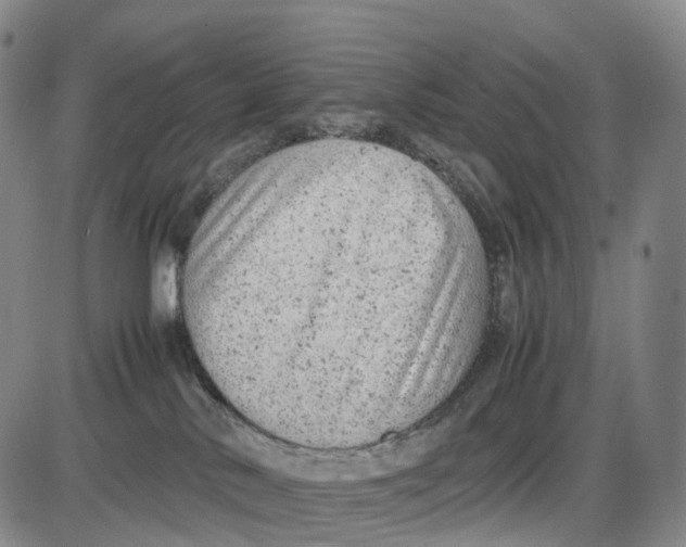 X0000085010042200703261206