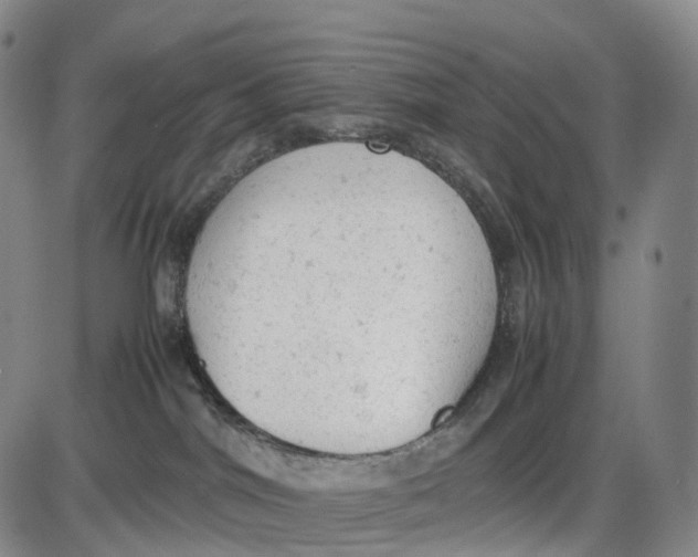 X0000085010044200703261206