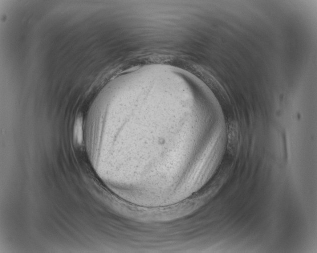 X0000085010046200703261206