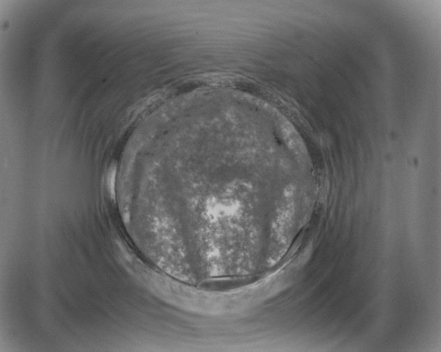 X0000085010047200703261206