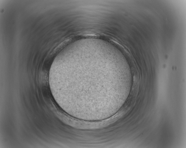 X0000085010048200703261206