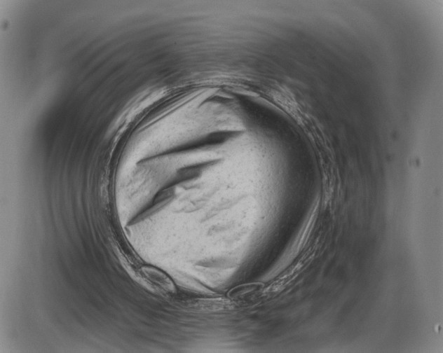 X0000085010050200703261205