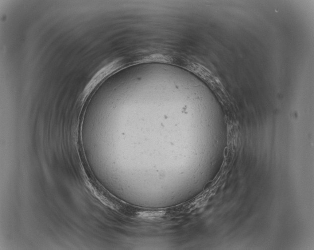 X0000085010051200703261205