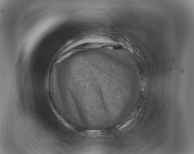 X0000085010052200703261205