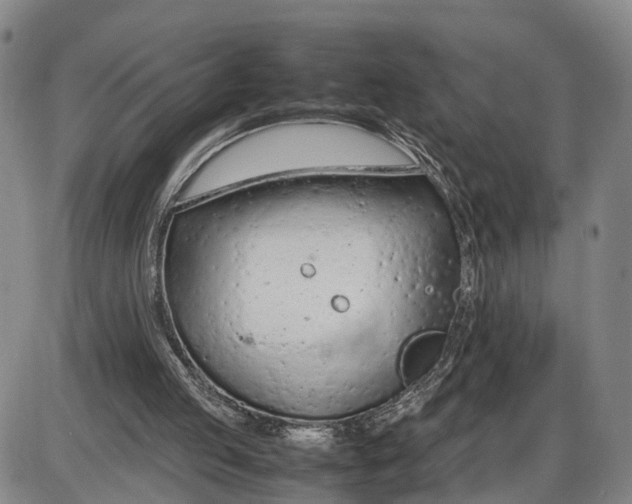 X0000085010053200703261205