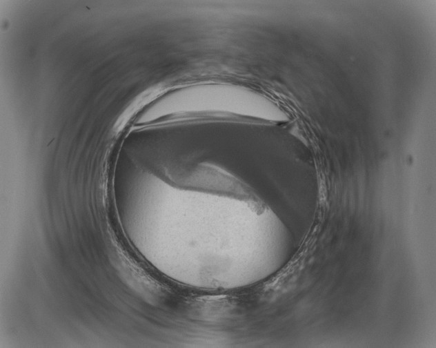 X0000085010054200703261205