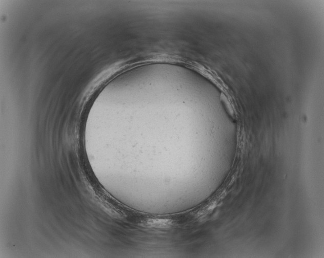 X0000085010055200703261205