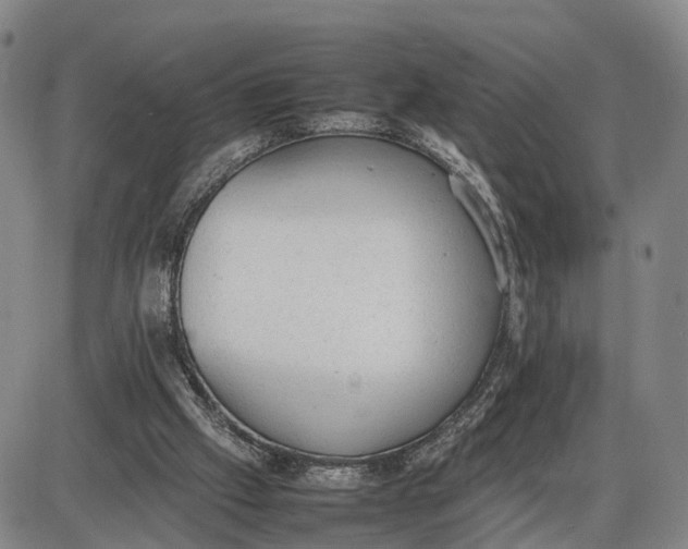 X0000085010057200703261205