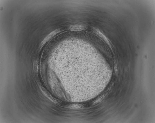 X0000085010059200703261205