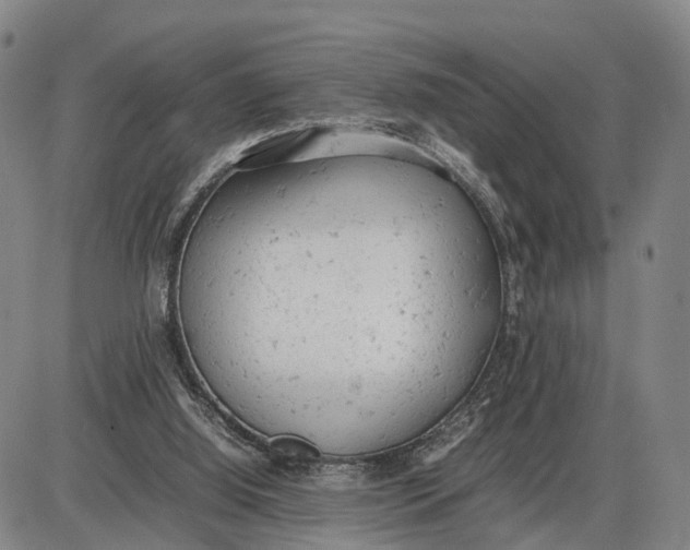 X0000085010060200703261205