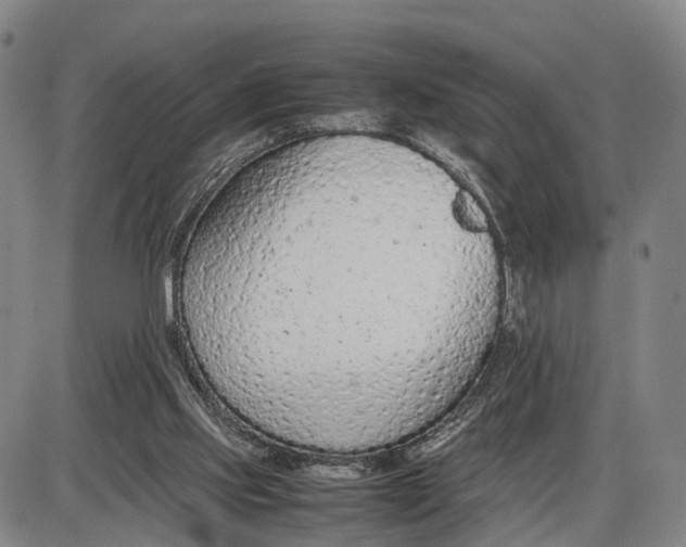 X0000085010061200703261205