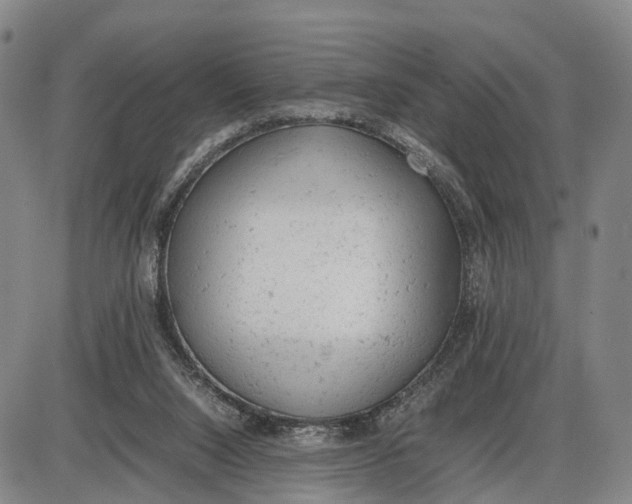 X0000085010064200703261206