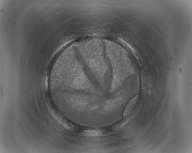 X0000085010067200703261206