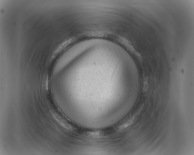 X0000085010068200703261206