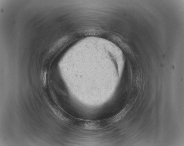 X0000085010070200703261206