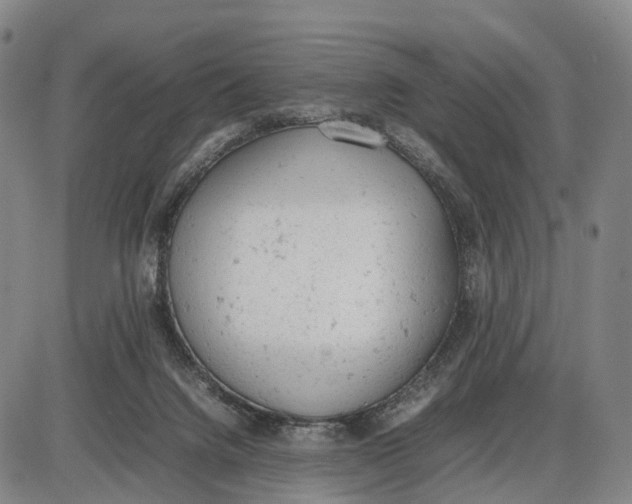 X0000085010072200703261206