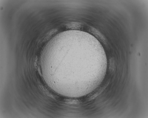 X0000085010073200703261206