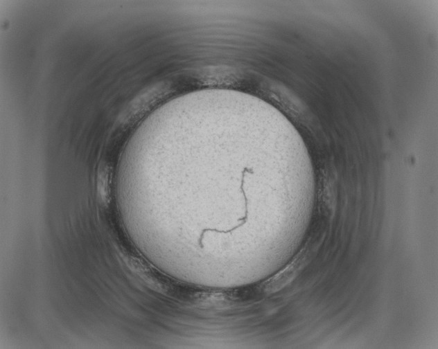 X0000085010074200703261206