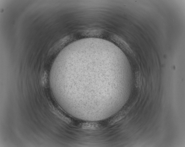 X0000085010077200703261206