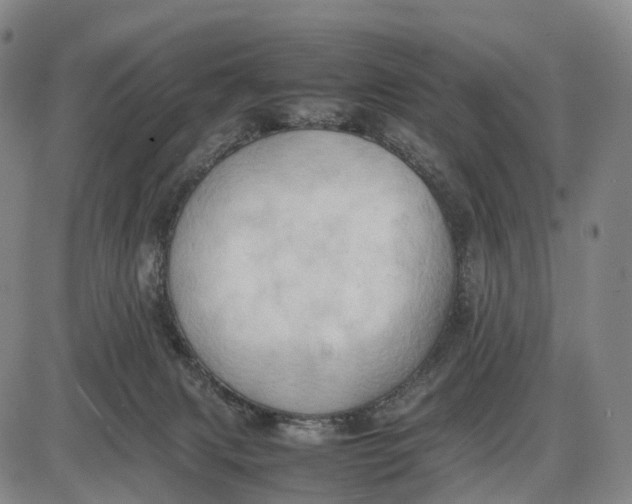 X0000085010079200703261206