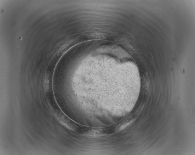 X0000085010080200703261206