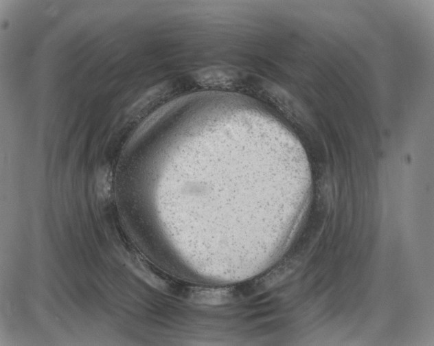 X0000085010081200703261206