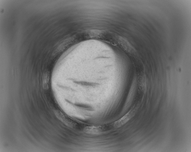 X0000085010082200703261206