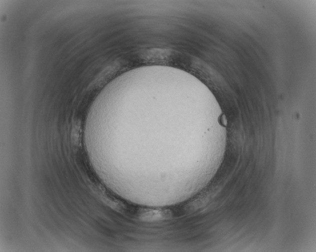 X0000085010083200703261206