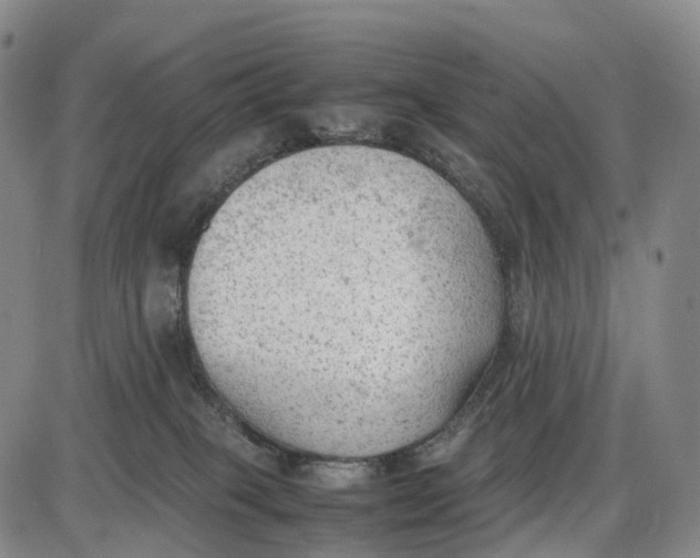 X0000085010085200703261206