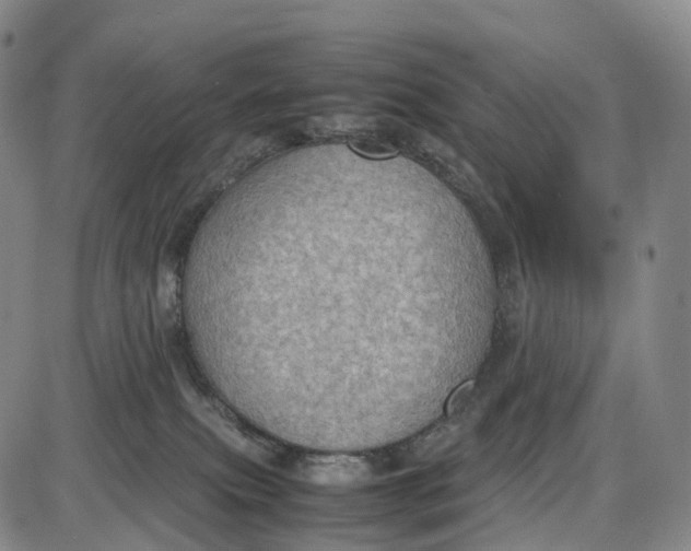 X0000085010087200703261206