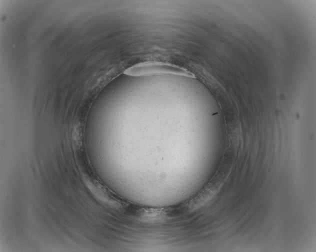 X0000085010088200703261206