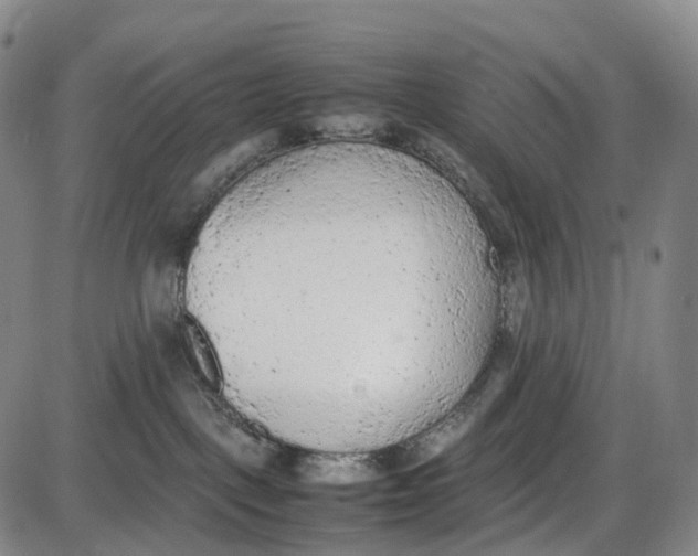 X0000085010093200703261206