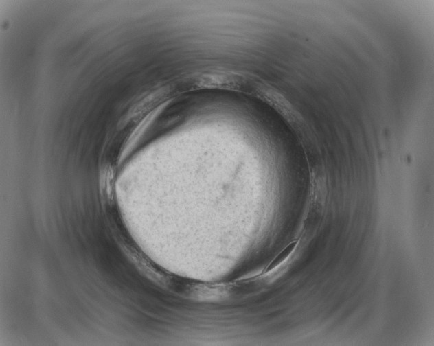 X0000085010094200703261206