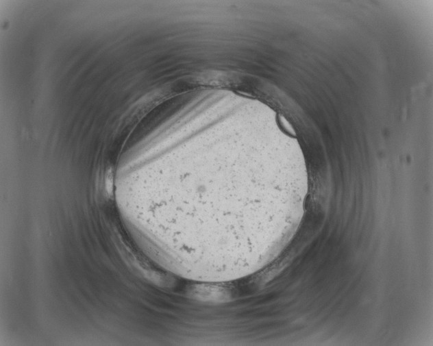 X0000085010095200703261206