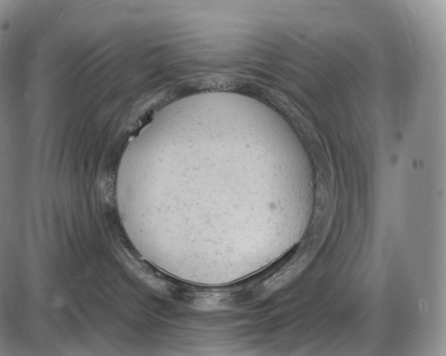 X0000085010096200703261206