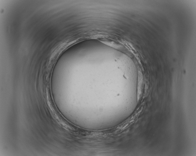 X0000085010097200703261205