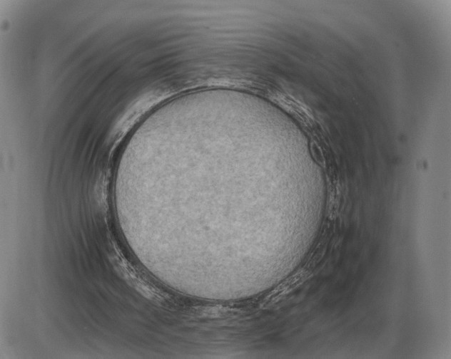 X0000085010098200703261205