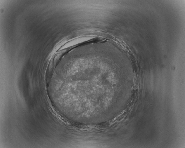 X0000085010099200703261205