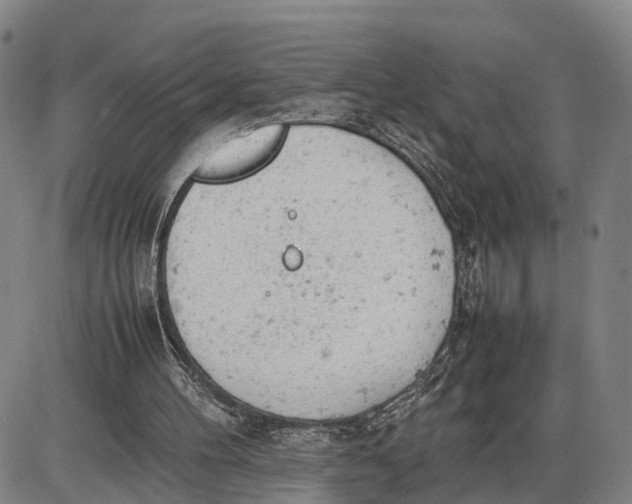 X0000085010100200703261205