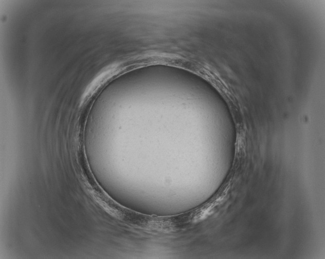 X0000085010101200703261205