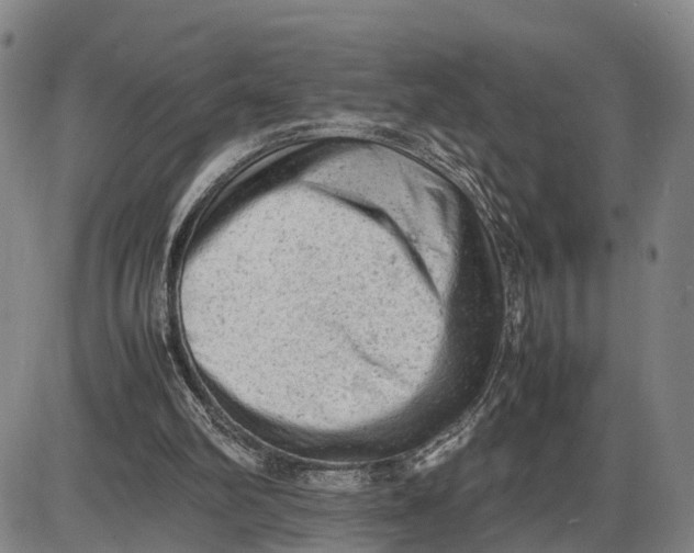 X0000085010102200703261205