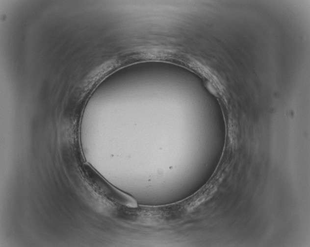 X0000085010105200703261205