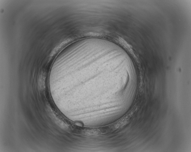 X0000085010106200703261205